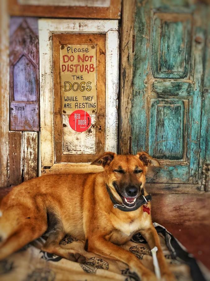 Red Door Hostel Anjuna Dış mekan fotoğraf